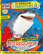 Abonnement Science & Vie Découvertes + Hors Séries