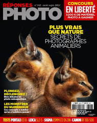 Réponses Photo