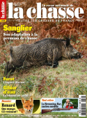 LA CHASSE_879