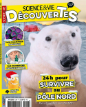 SCIENCE & VIE DECOUVERTE_264