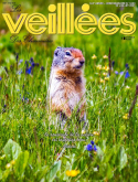 LES VEILLEES DES CHAUMIER_3490