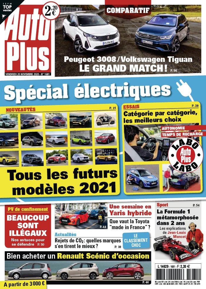 Ours PETSHOP N°1681 - Occasion