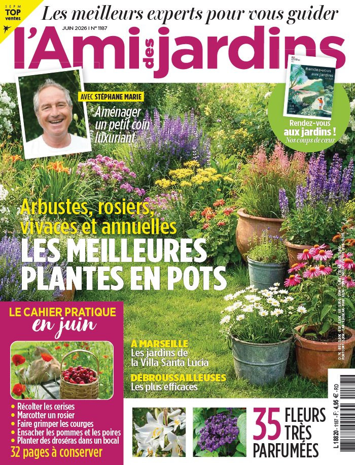 L'Ami des Jardins - Abonnement papier + numérique + Mon Jardin & Ma Maison - 1 an - 12 n°