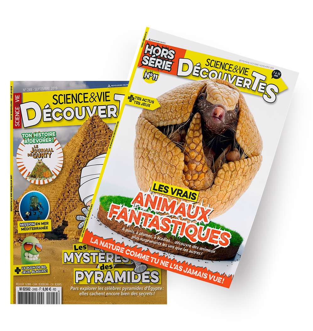 Science & Vie Découvertes
