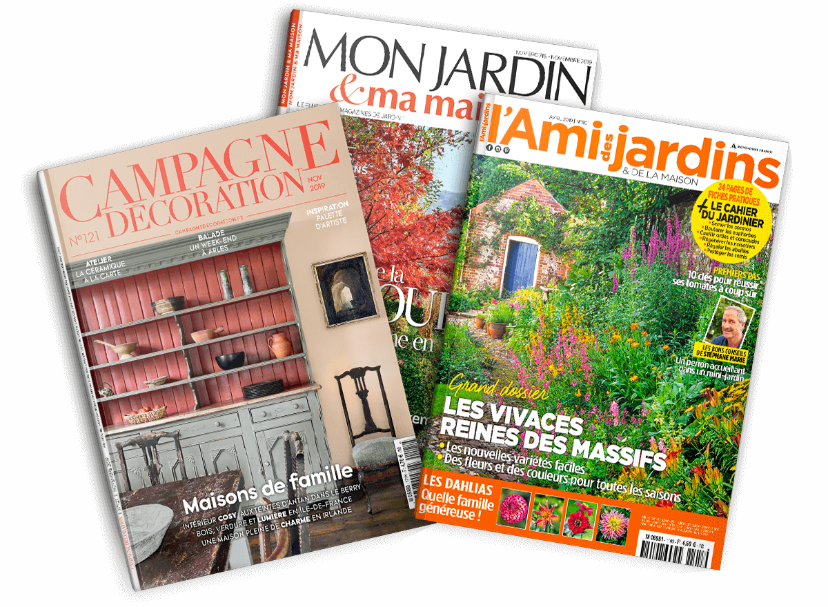 Maison / Jardin