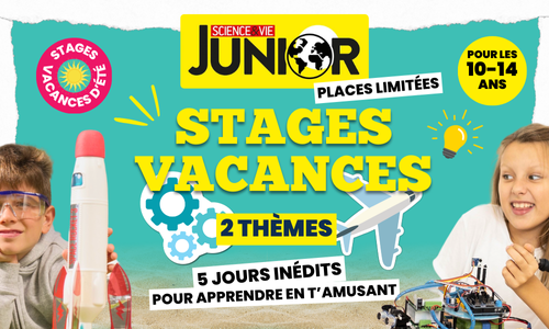 Kiosquemag : découvrez nos offres d'excursions et de sorties